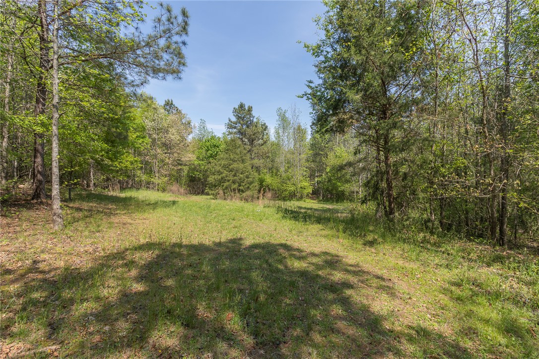 820 Travis Road Anderson, SC 29626 - Photo 45 of 46 A tranquil, verdant expanse offers a perfect canvas for building amidst nature's embrace.