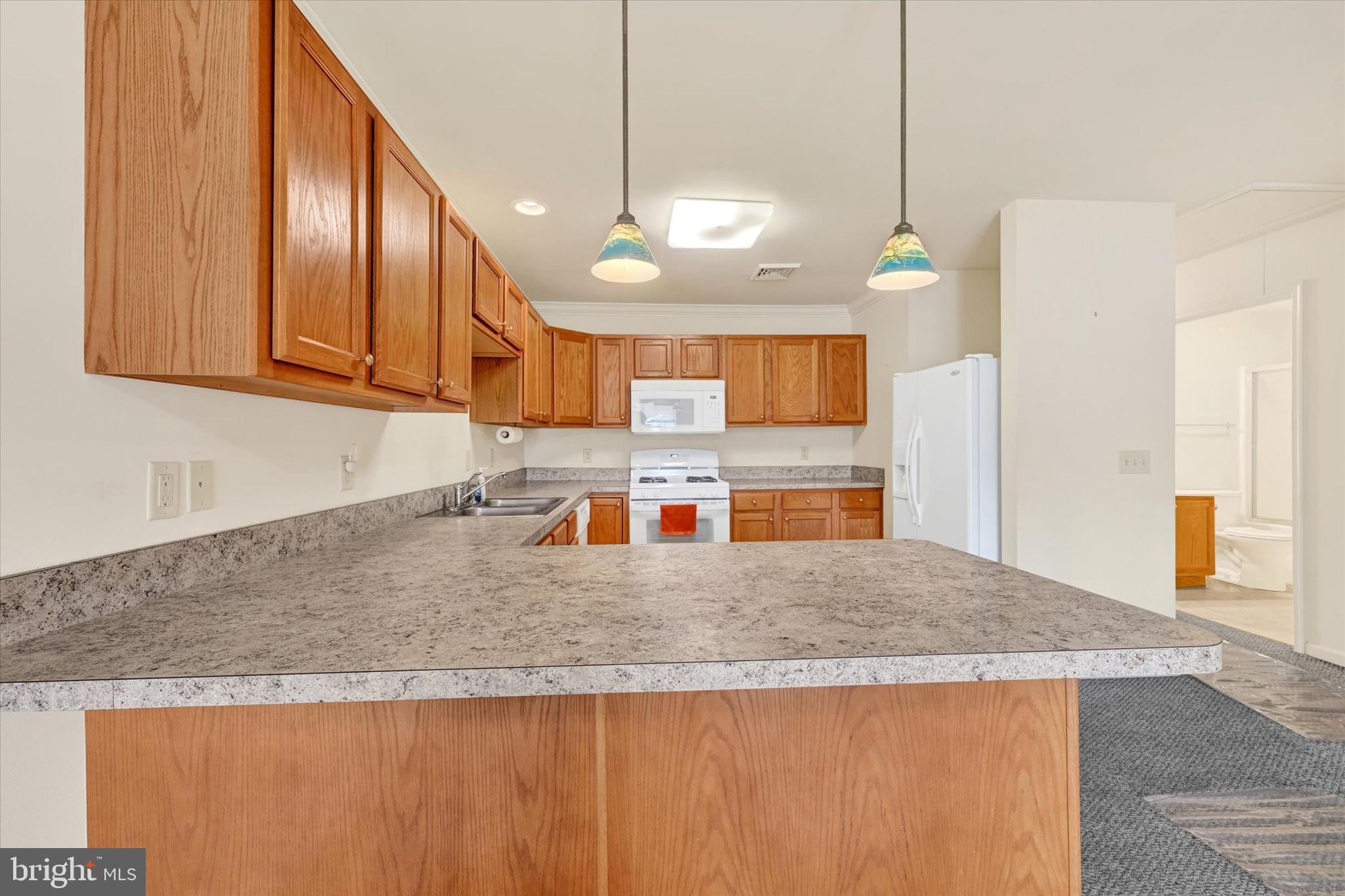 116 Furlong Way Red Lion, PA 17356 - Photo 3 of 28 SPACIOUS KITCHEN
