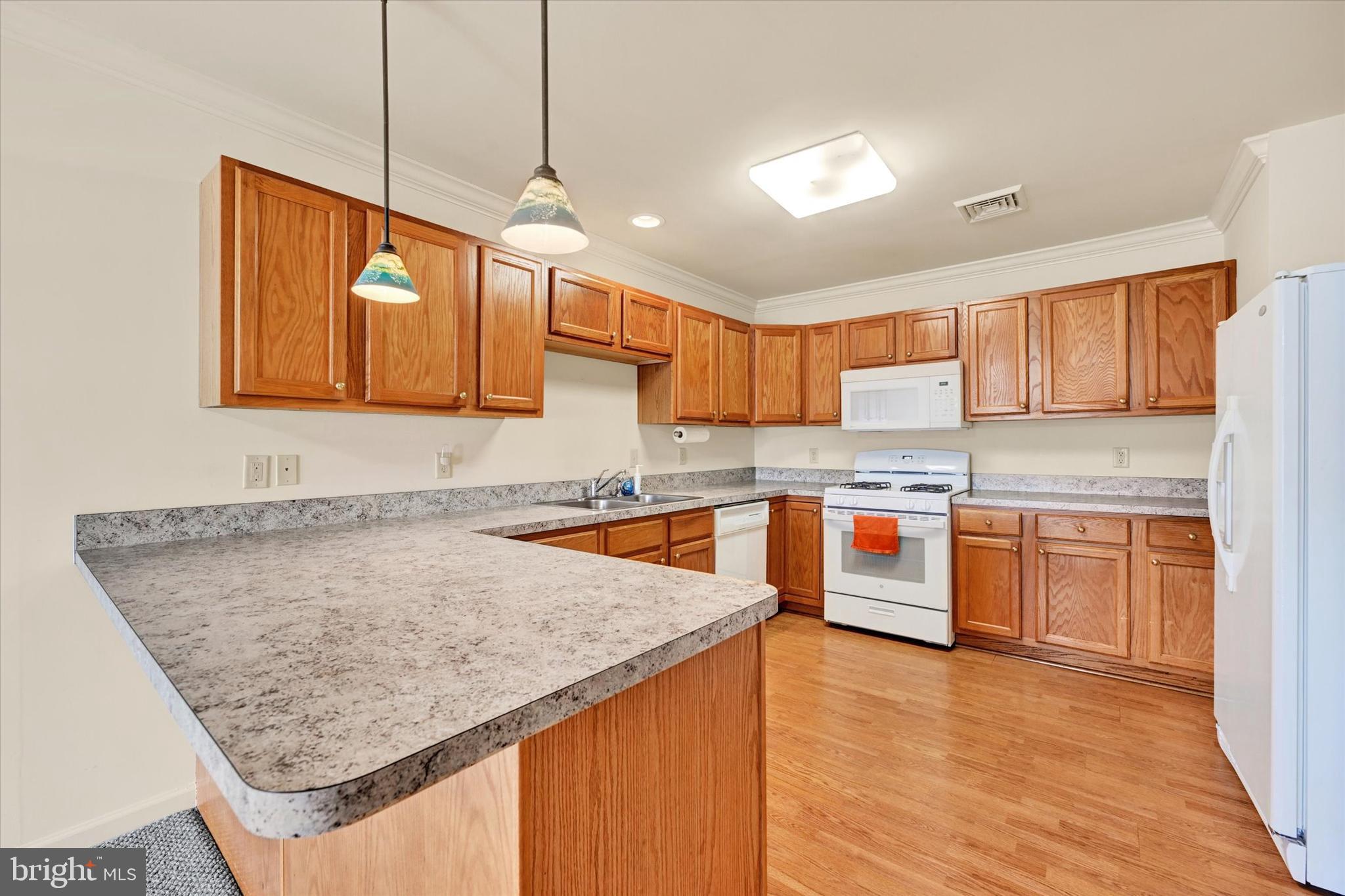 116 Furlong Way Red Lion, PA 17356 - Photo 4 of 28 LOTS OF CABINETS