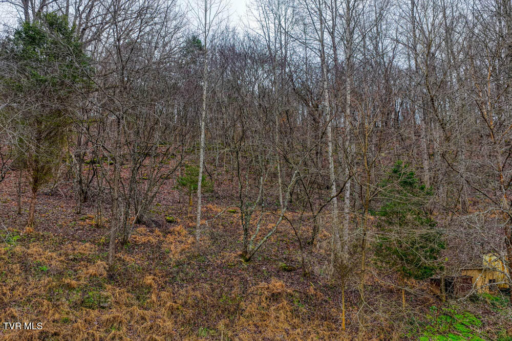 276 Burem Road Rogersville, TN 37857 - Photo 14 of 44 IMG_9752