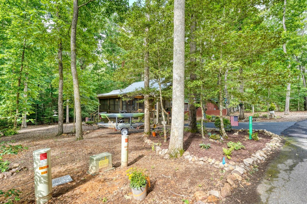 445 Chimney Ridge Blairsville, GA 30512 - Photo 2 of 29