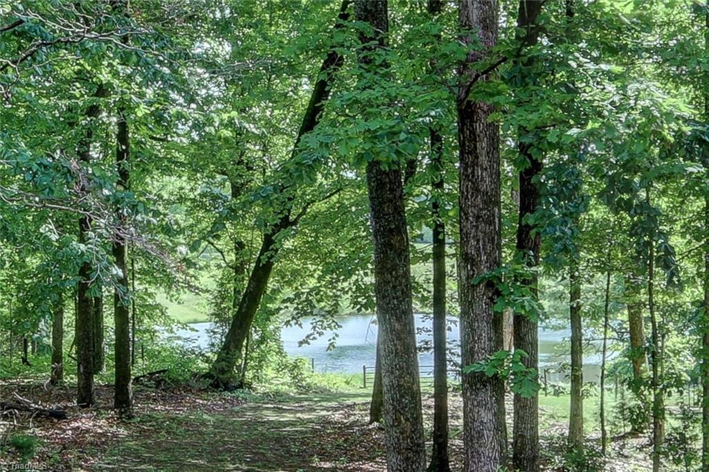 8526 Rosedale Drive Oak Ridge, NC 27310 - Photo 29 of 30 Lake View