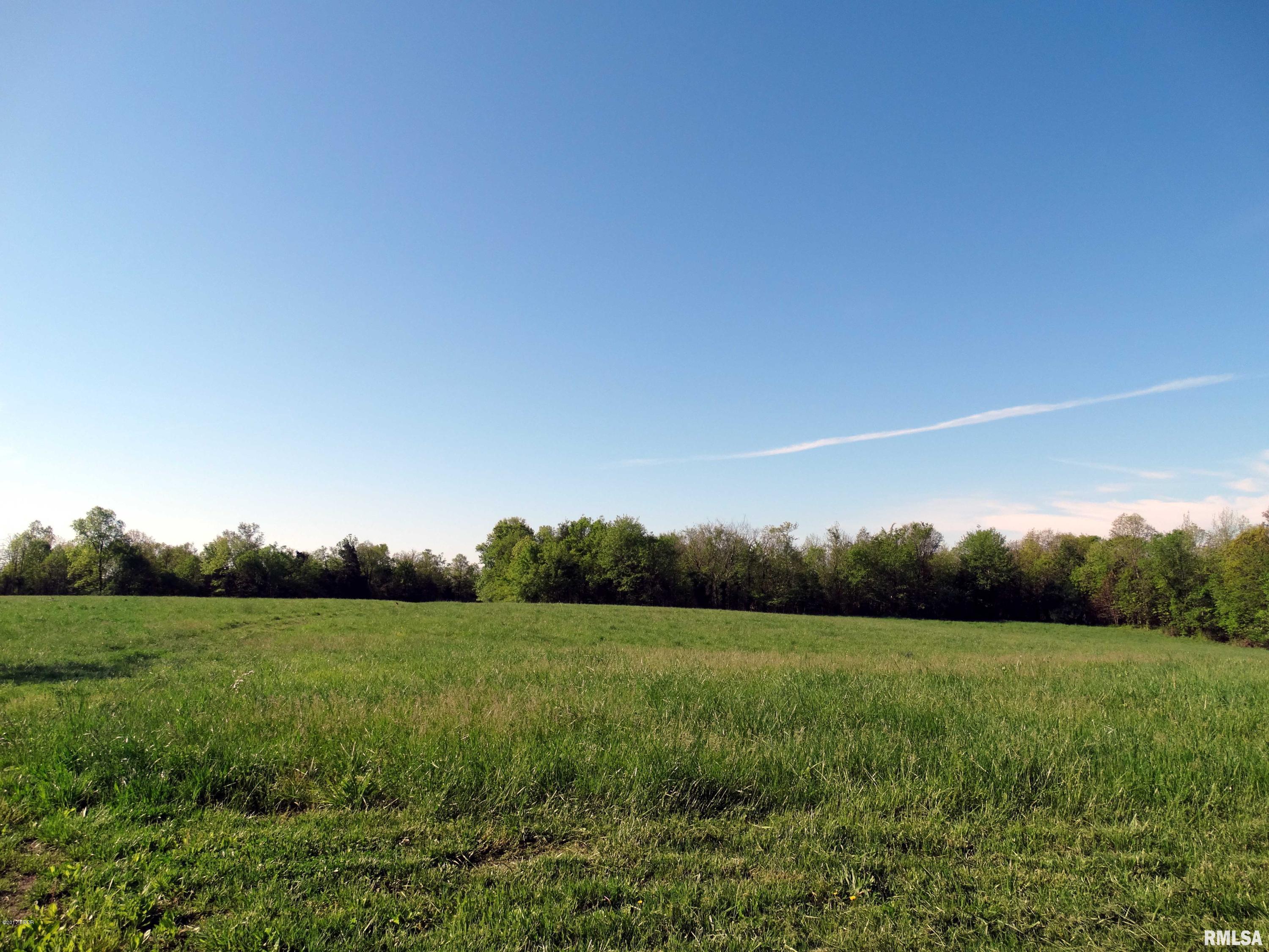 4170 Moake School Road Marion, IL 62959 - Photo 5 of 44 Gallery Image 5