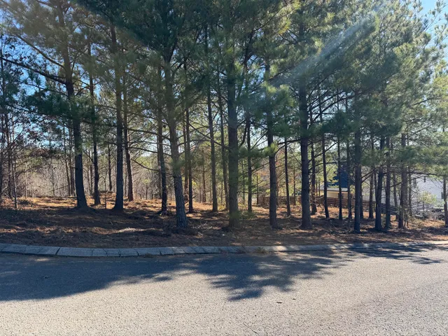 $84,900 | 14 Turkey Run, Flintstone, GA 30725