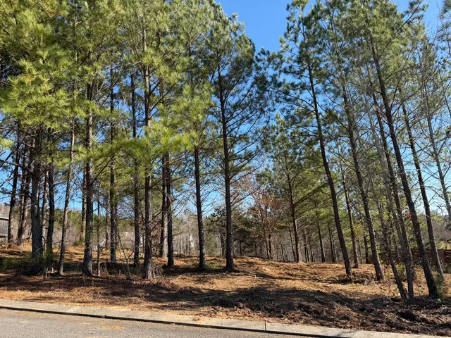 $84,900 | 14 Turkey Run, Flintstone, GA 30725