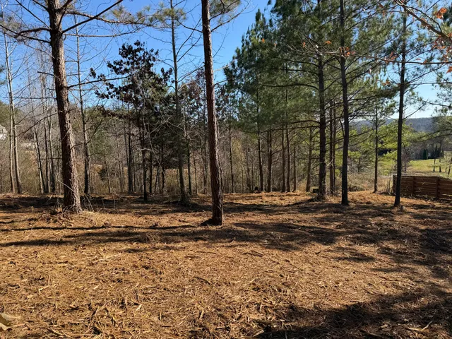 $84,900 | 14 Turkey Run, Flintstone, GA 30725