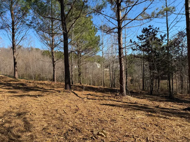 $84,900 | 14 Turkey Run, Flintstone, GA 30725