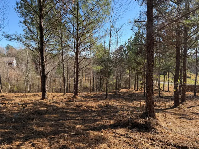 $84,900 | 14 Turkey Run, Flintstone, GA 30725