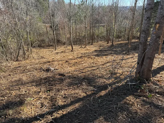 $84,900 | 14 Turkey Run, Flintstone, GA 30725