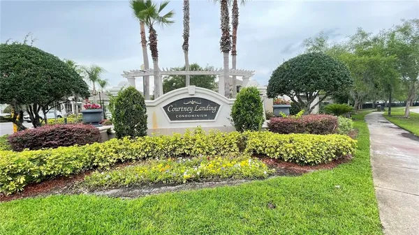 a view of a garden with a tree