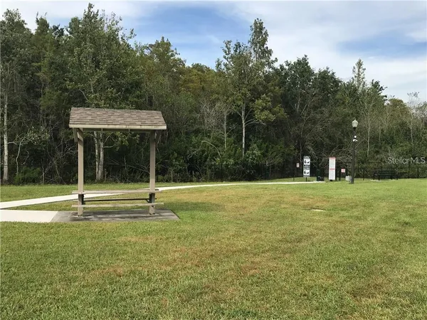 a view of swimming pool with trees