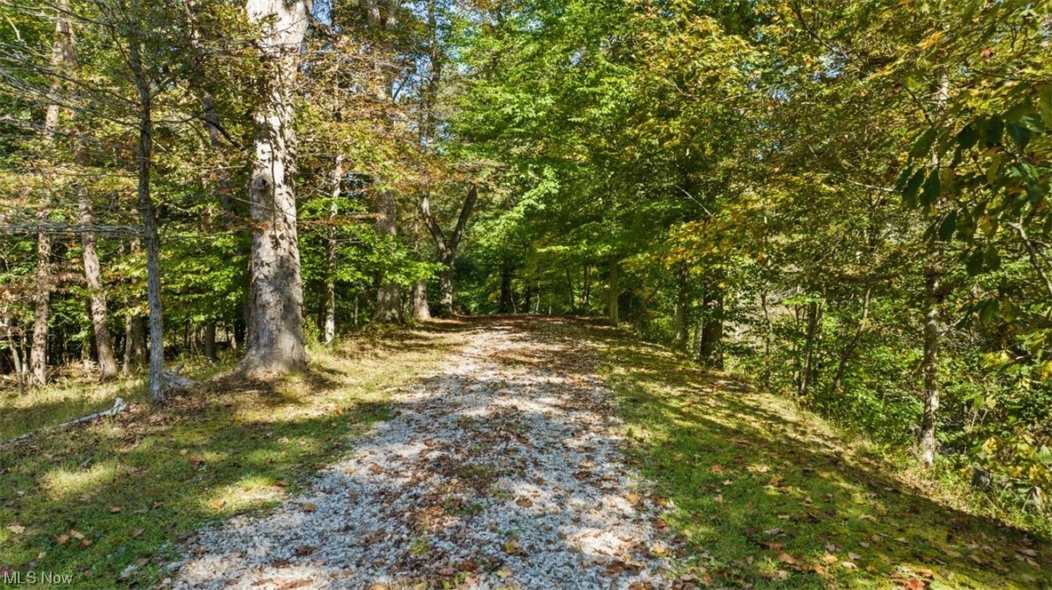 2008 Goose Creek Road Petroleum, WV 26161 - Photo 5 of 35 View of street