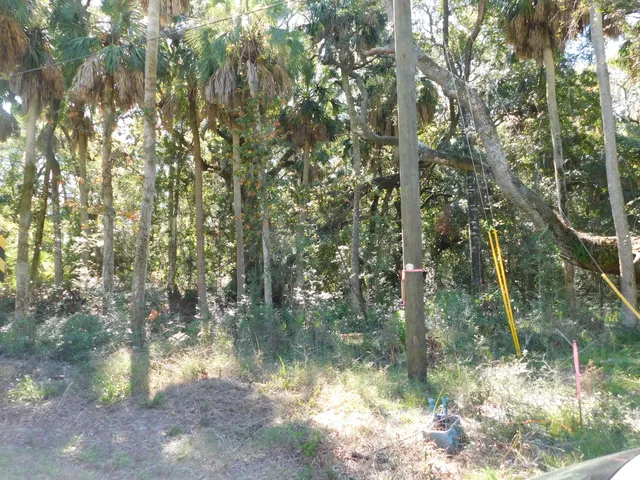 $437,900 | 0 Cheehaw Street, Unit LOT M, Edisto Island, SC 29438