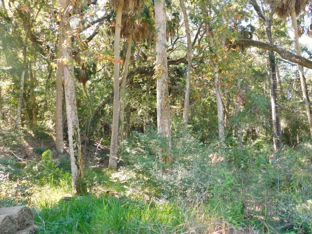 $437,900 | 0 Cheehaw Street, Unit LOT M, Edisto Island, SC 29438