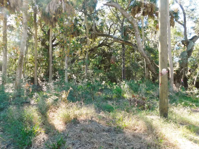 $437,900 | 0 Cheehaw Street, Unit LOT M, Edisto Island, SC 29438