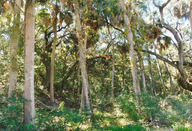 $437,900 | 0 Cheehaw Street, Unit LOT M, Edisto Island, SC 29438