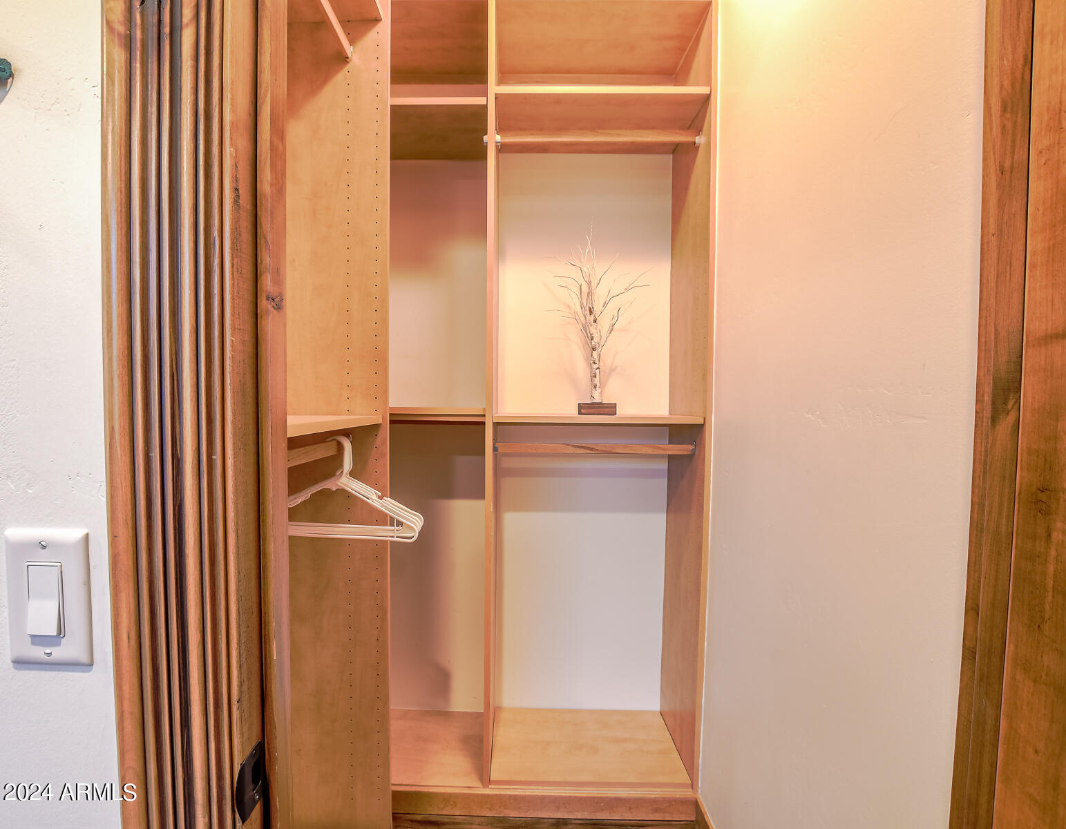 6038 Orion Show Low, AZ 85901 - Photo 67 of 95 Guest Bedroom 4 Walk in Closet