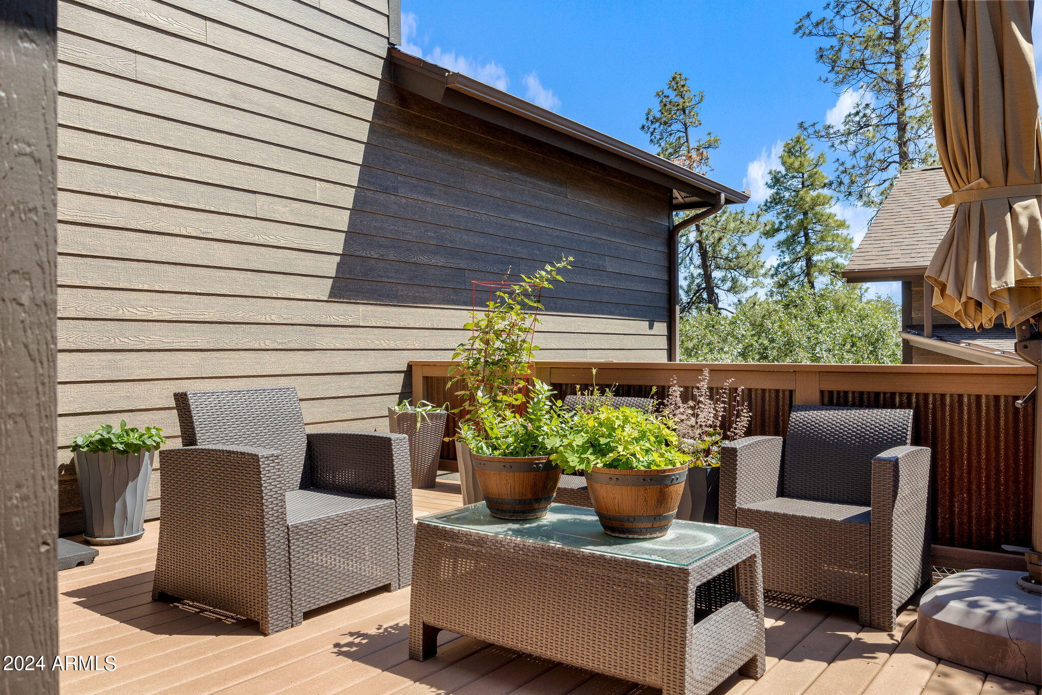 6038 Orion Show Low, AZ 85901 - Photo 73 of 95 Side Deck