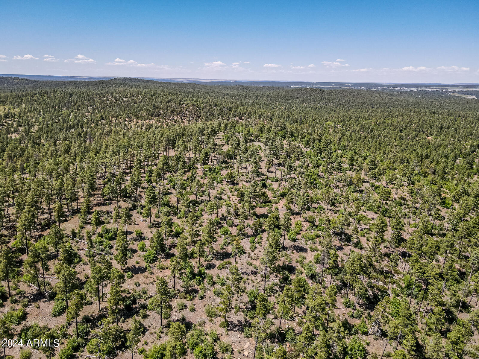 6038 Orion Show Low, AZ 85901 - Photo 93 of 95 Aerial View
