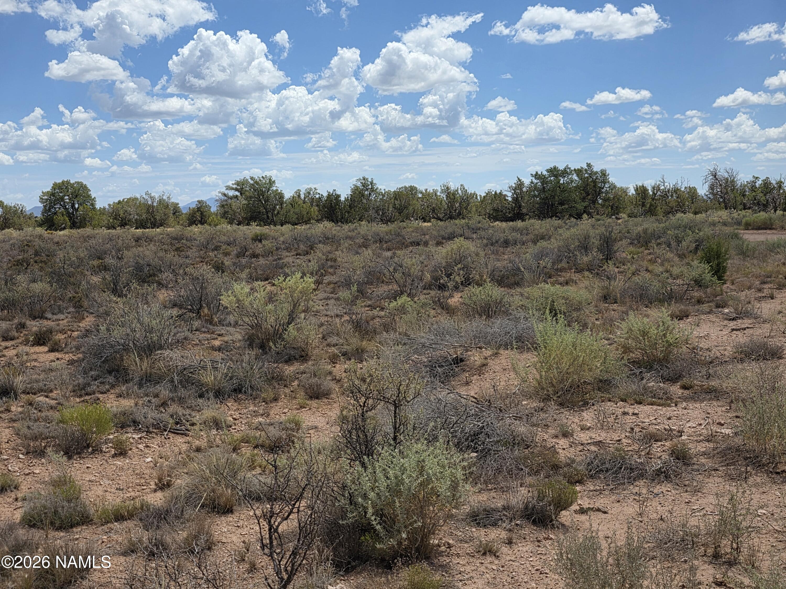 955 San Mateo Road Williams, AZ 86046 - Photo 11 of 24 1000068195