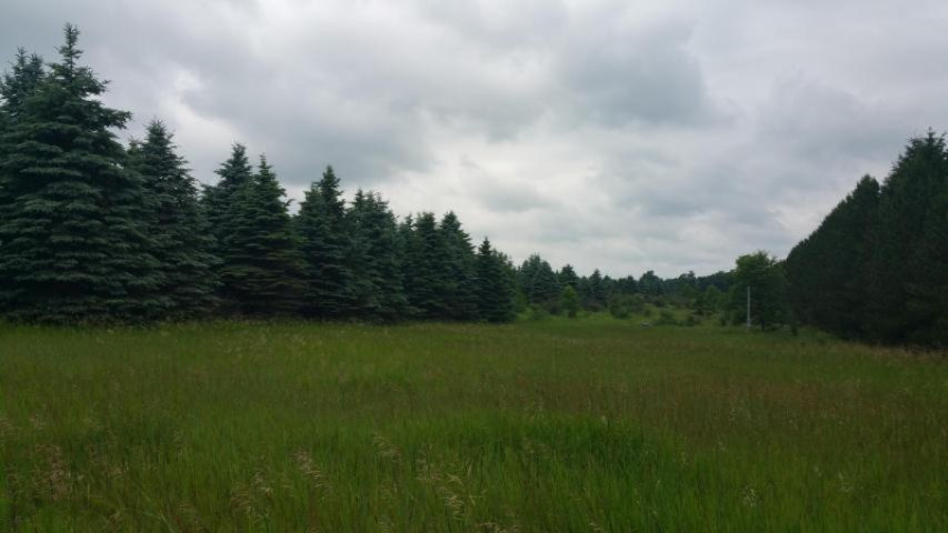 6 Mile Pic 1