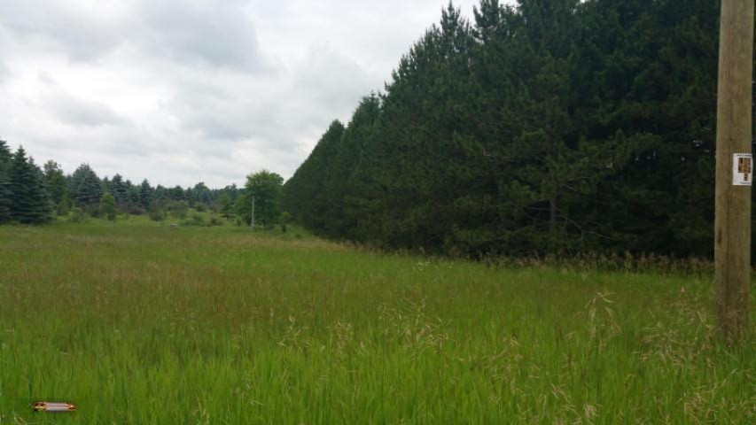 23628 6 Mile Road Reed City, MI 49677 - Photo 2 of 3 6 Mile Pic 2