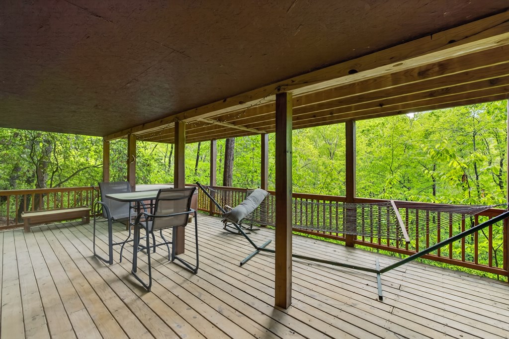 203 Mountain View Road Cherry Log, GA 30522 - Photo 17 of 32