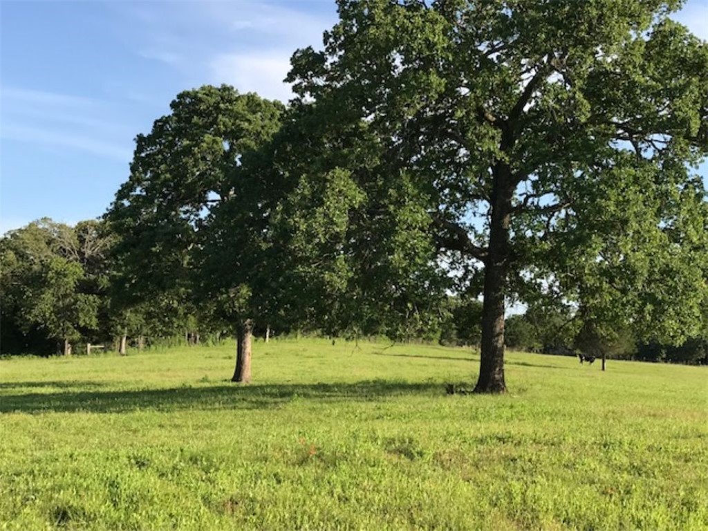 1188 Private 6030 Cameron, TX 76520 - Photo 2 of 28 View of acreage