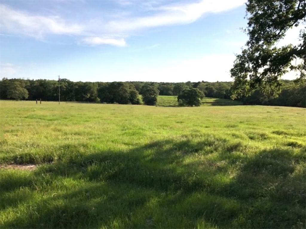1188 Private 6030 Cameron, TX 76520 - Photo 3 of 28 View of acreage