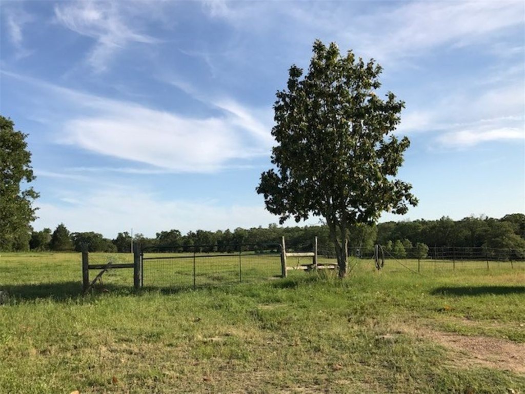 1188 Private 6030 Cameron, TX 76520 - Photo 4 of 28 a view of a park