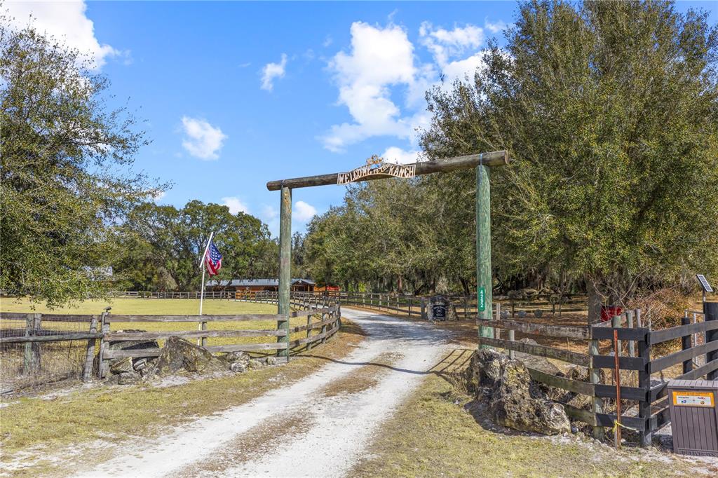 4292 Southwest 73rd Trail Bushnell, FL 33513 - Photo 3 of 88 a view of a park with large trees