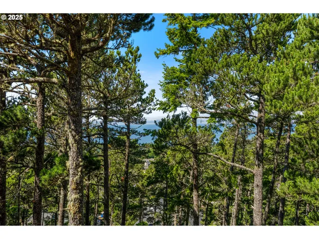 a view of house with a tree in front