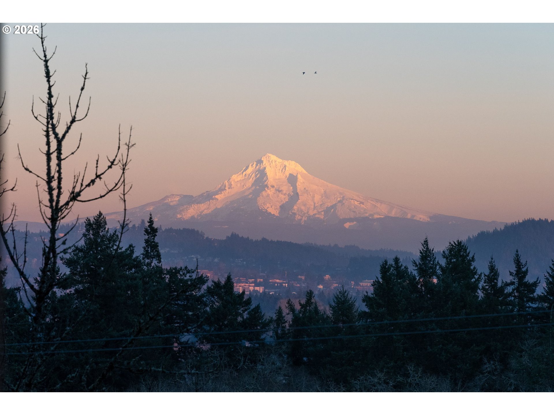 2123 South Military Road Portland, OR 97219 - Photo 2 of 47 a view of sunset and trees