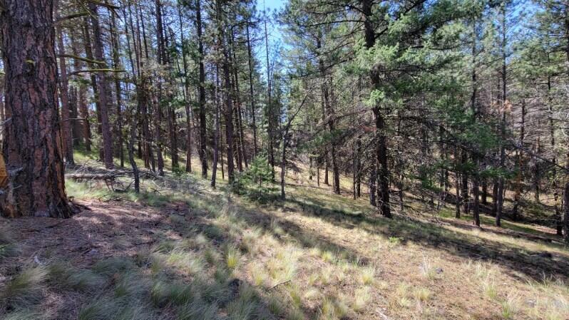 1315 Lofton Creek Road Prineville, OR 97754 - Photo 37 of 61 image000002 (3)