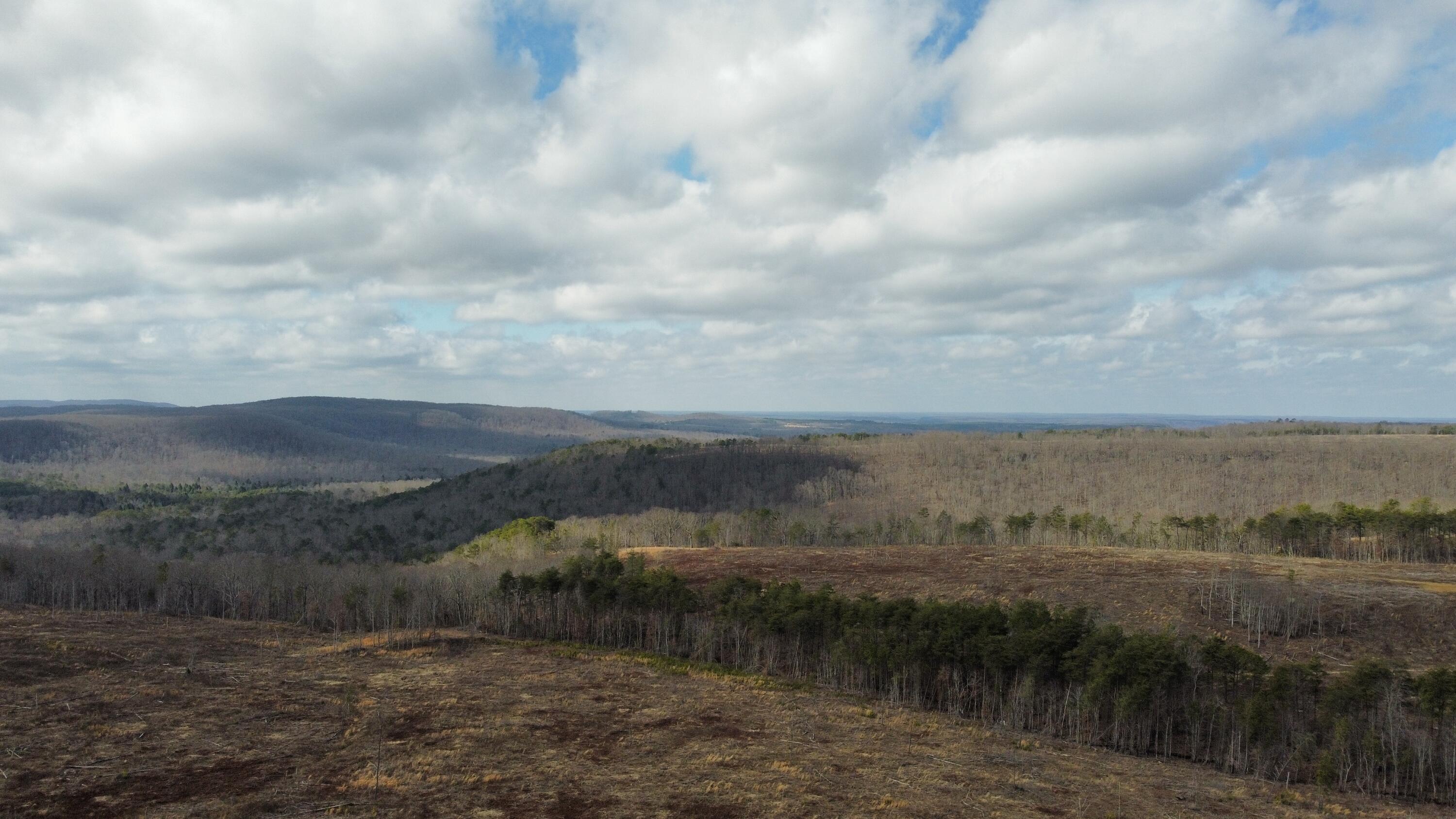 58 Fredonia Road Dunlap, TN 37327 - Photo 8 of 32 dji_fly_20230222_102906_739_167708336655