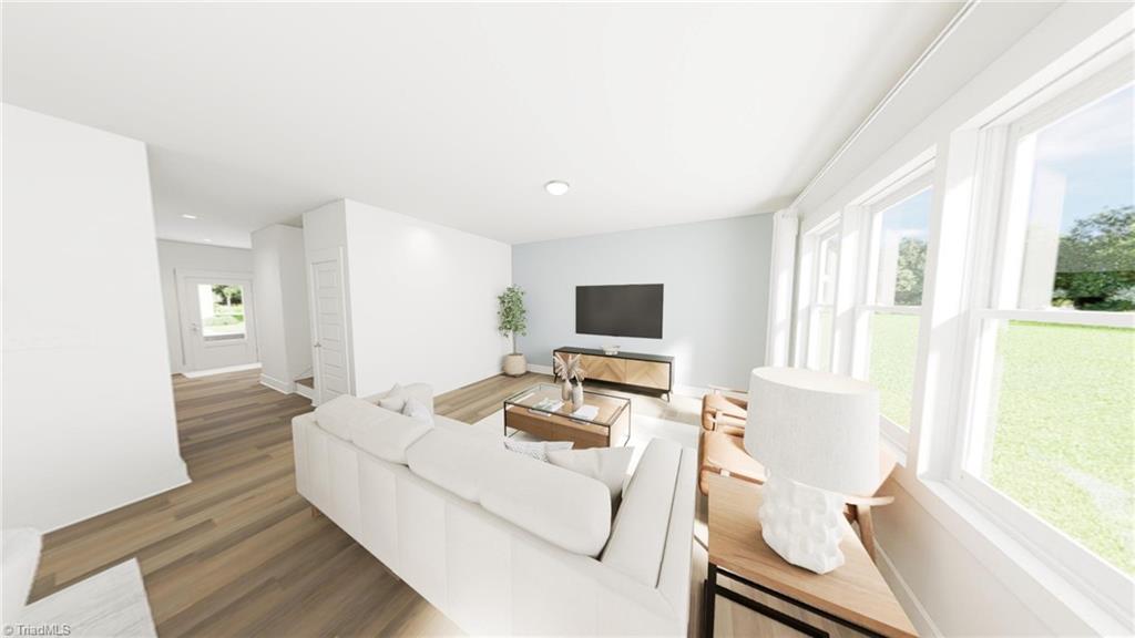 5442 Rock Valley Drive Trinity, NC 27370 - Photo 8 of 21 Family Room - Virtual Representation