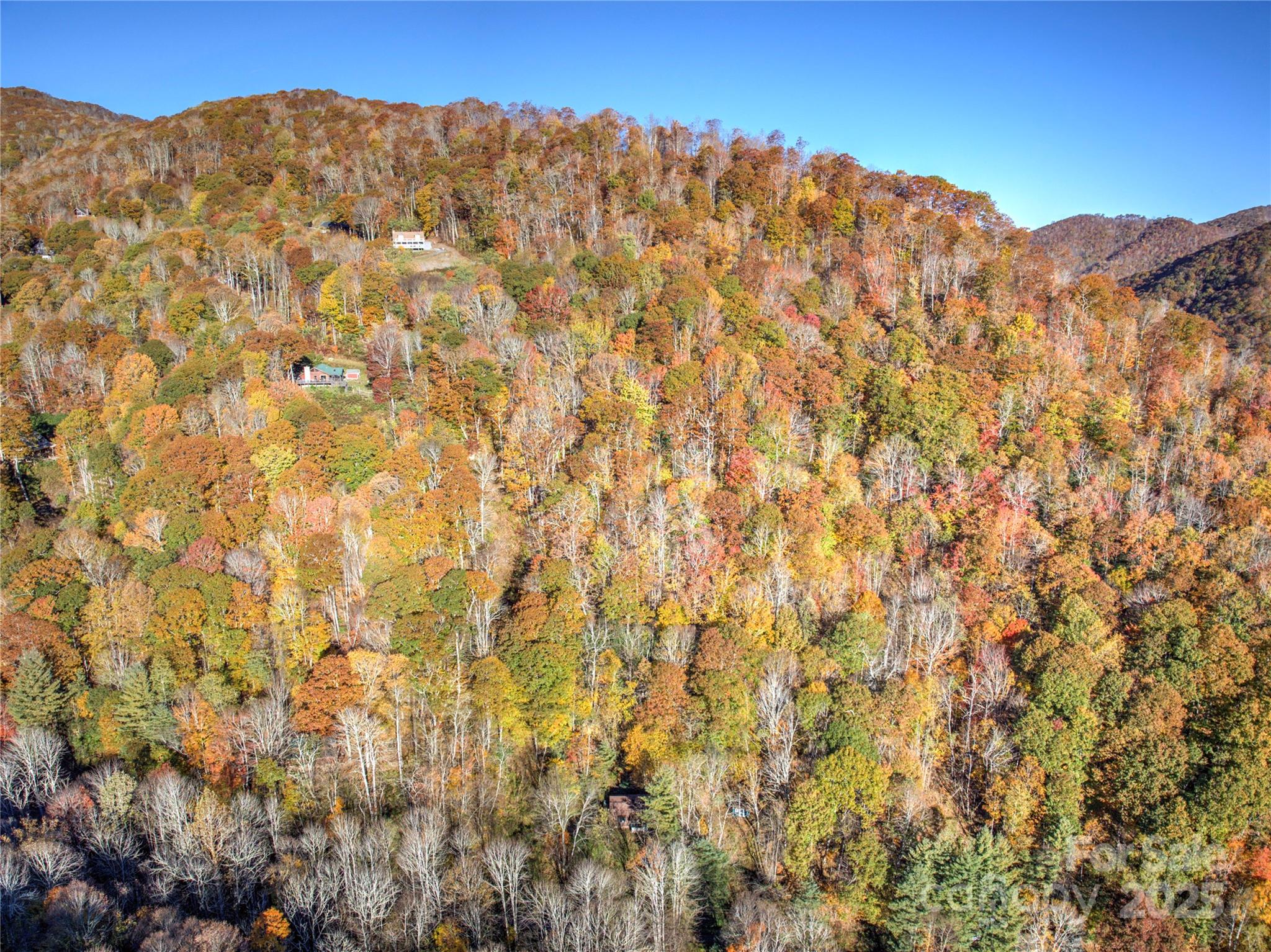 430 Long Branch Road Maggie Valley, NC 28751 - Photo 30 of 34 a view of a large tree with a mountain in the background