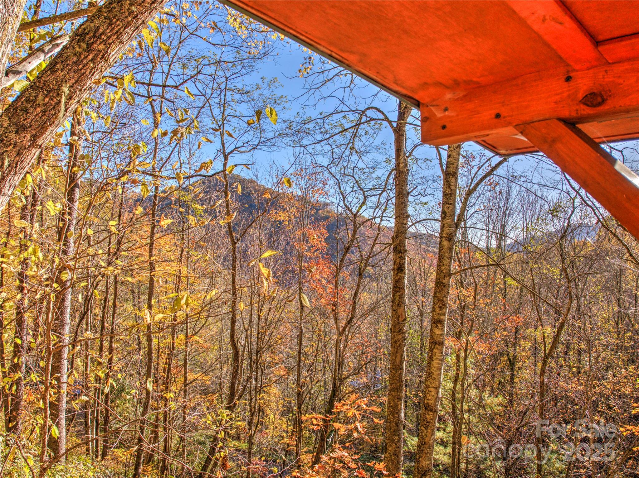 430 Long Branch Road Maggie Valley, NC 28751 - Photo 33 of 34 a backyard of a house with lots of green space