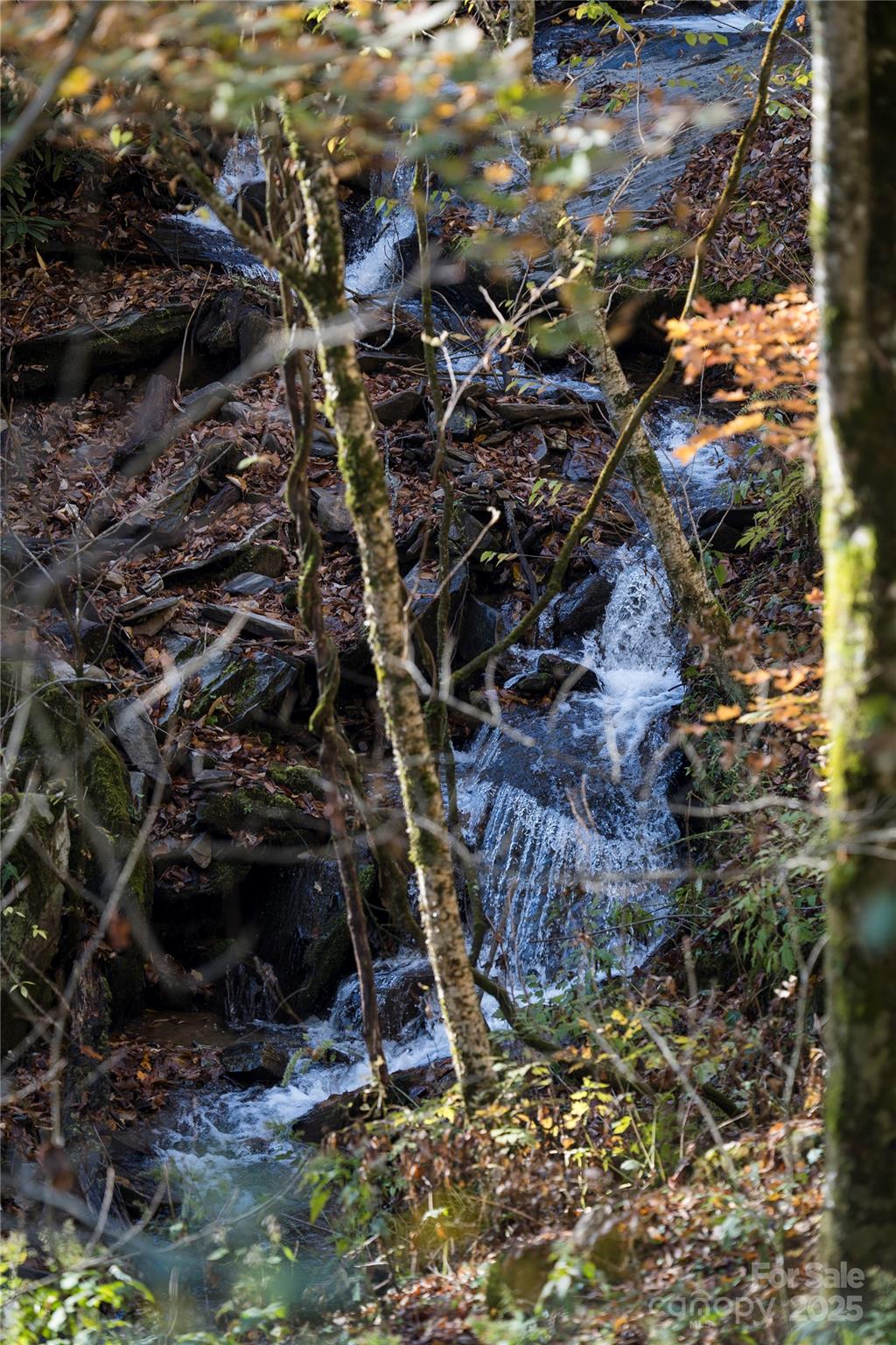 430 Long Branch Road Maggie Valley, NC 28751 - Photo 34 of 34 a view of outdoor space