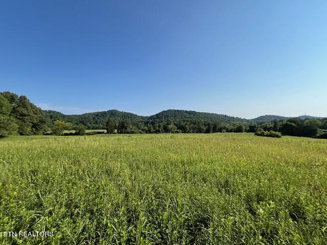 7662 Haws Road, Unit 2 Knoxville, TN 37920 - Photo 3 of 8 Haws Rd middle