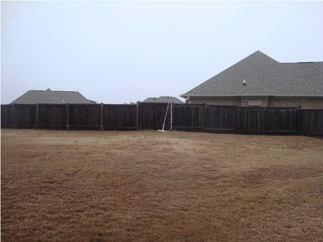 303 Eastside View Brandon, MS 39047 - Photo 18 of 24 Back yard