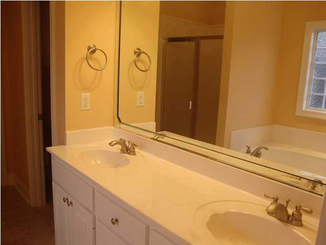 303 Eastside View Brandon, MS 39047 - Photo 9 of 24 Master bathroom