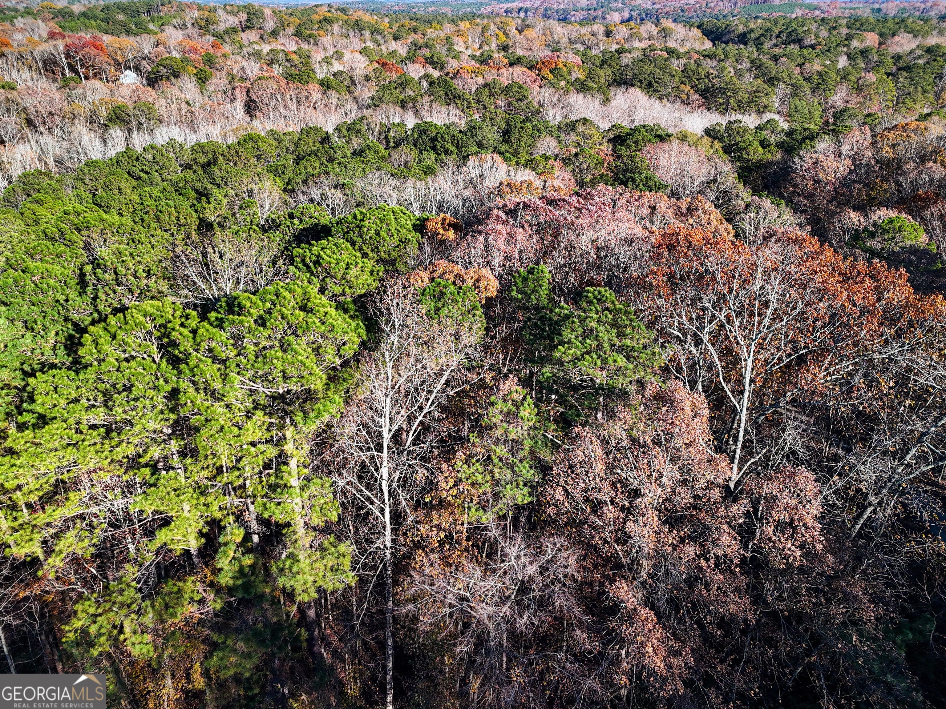 0 Waterview Drive LaGrange, GA 30240 - Photo 3 of 9 a view of a garden with a house