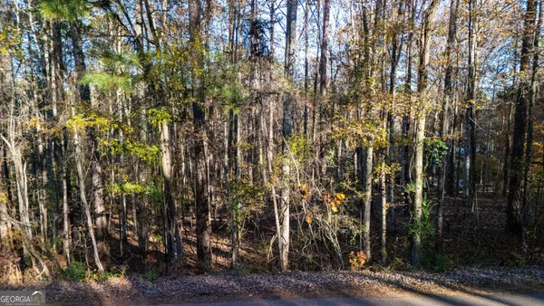a view of a city with lots of trees