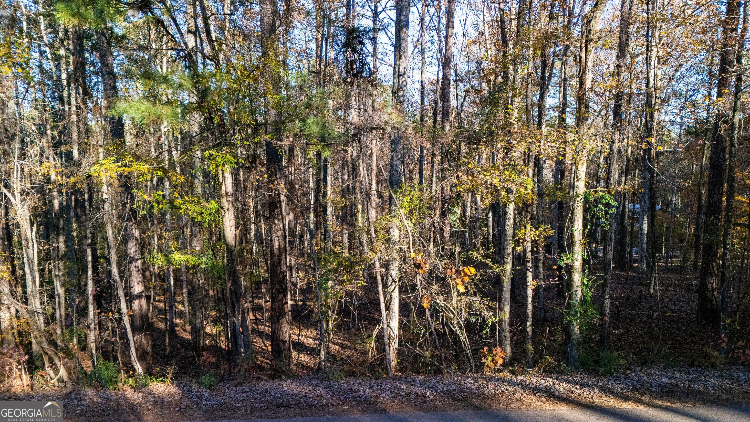 0 Waterview Drive LaGrange, GA 30240 - Photo 5 of 9 a view of a city with lots of trees