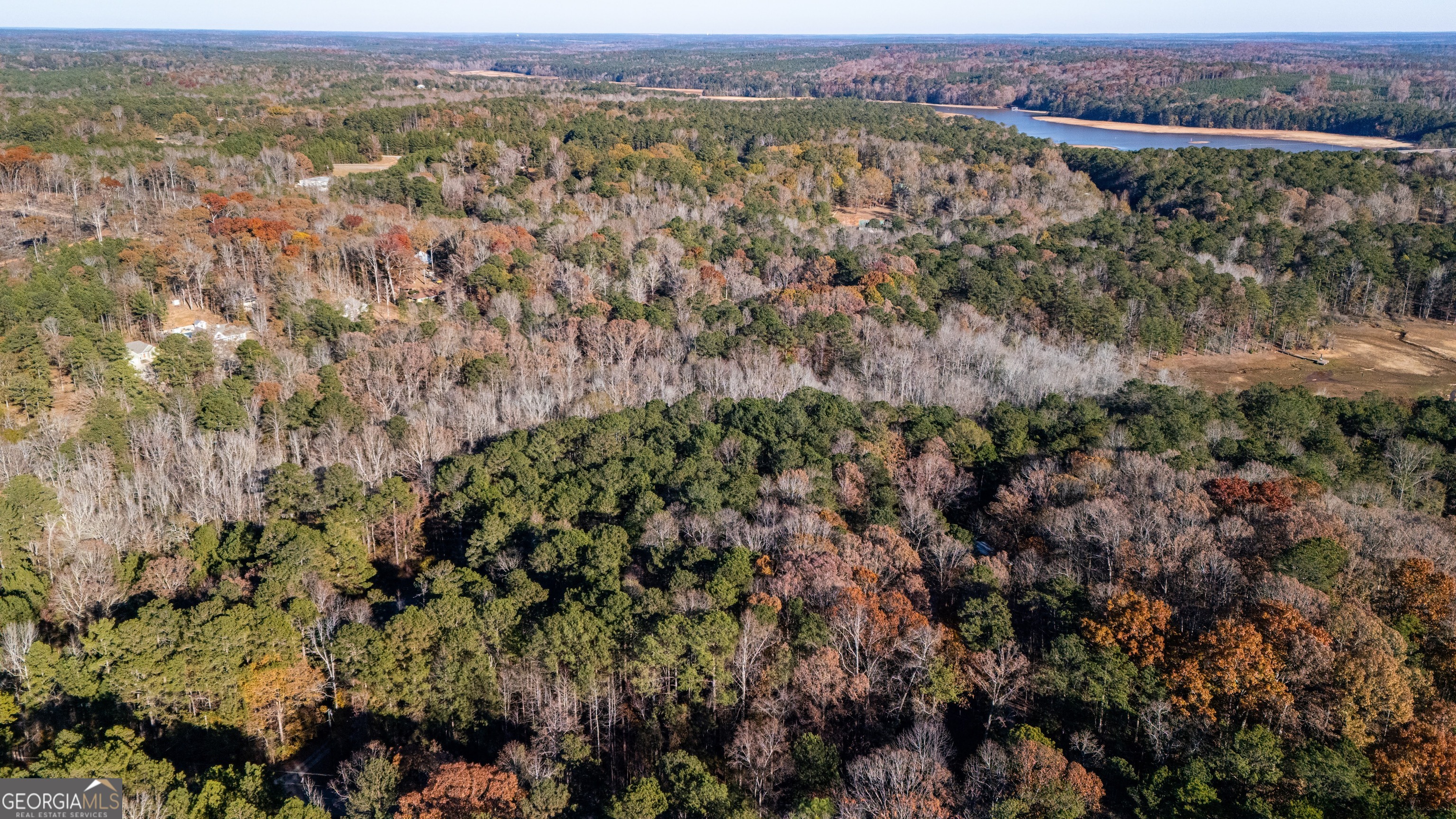 0 Waterview Drive LaGrange, GA 30240 - Photo 6 of 9 an aerial view of forest