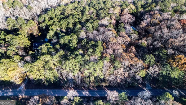 a view of a city and flowers