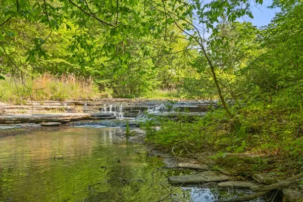 a view of yard with lake