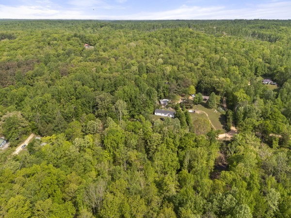 1240 Tanner Hollow Road Centerville, TN 37033 - Photo 11 of 23 a view of a big yard with plants and large trees