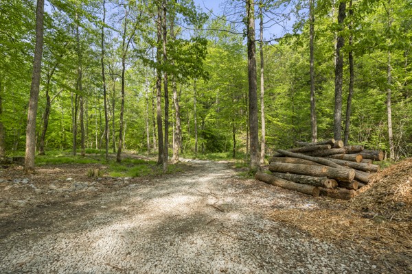 1240 Tanner Hollow Road Centerville, TN 37033 - Photo 14 of 23 a backyard of a house with lots of green space